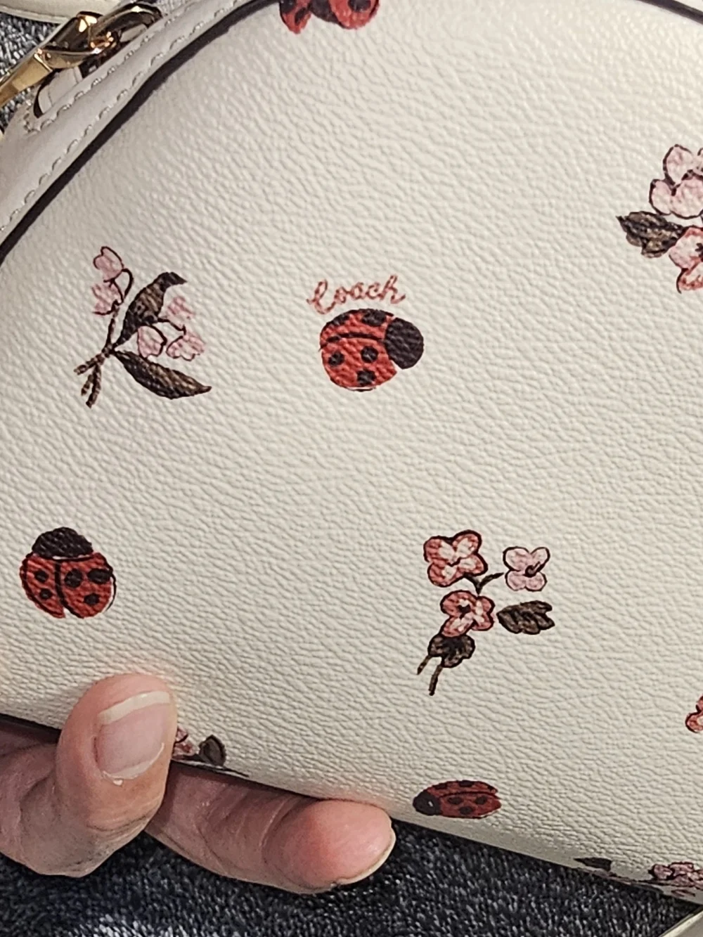Coach White Floral & Ladybug Crossbody Bag